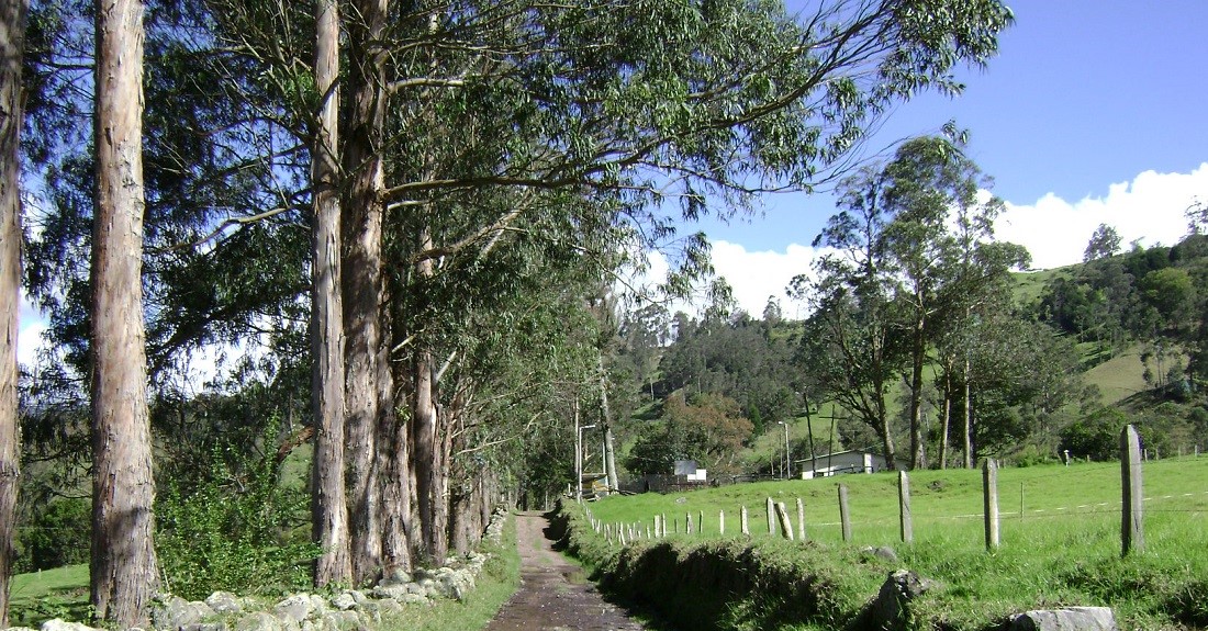 La tienda de don Antonio