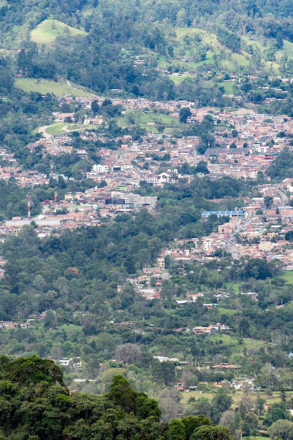 La tienda de Flor